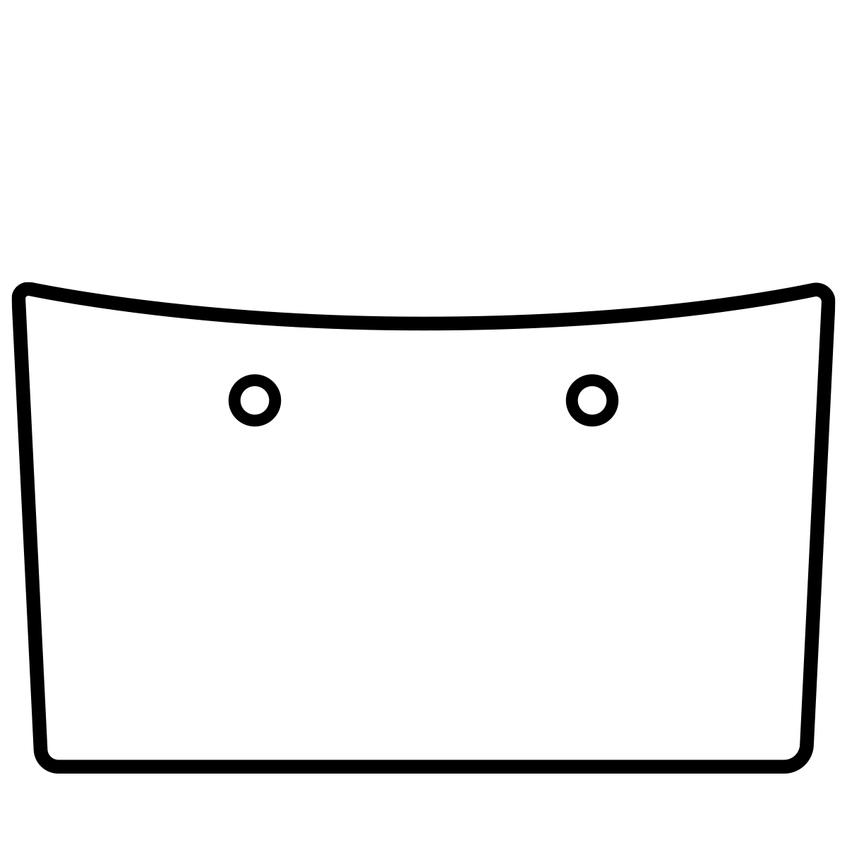 Body