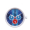 Watch mechanism O clock great Date racing ocean race Cobalto